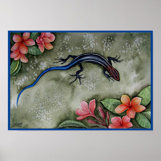 Blue Racer Skink Poster (Front)
