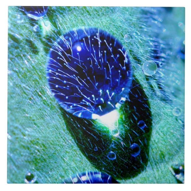 Blue Raindrops Water Pearls Photo -Quadrat Ceramic Tile (Front)