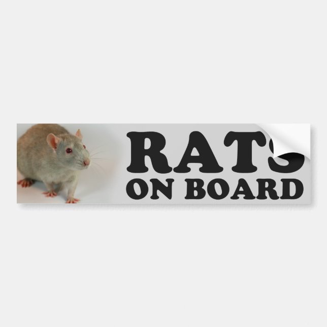(Blue) Rats on board Bumper Sticker (Front)