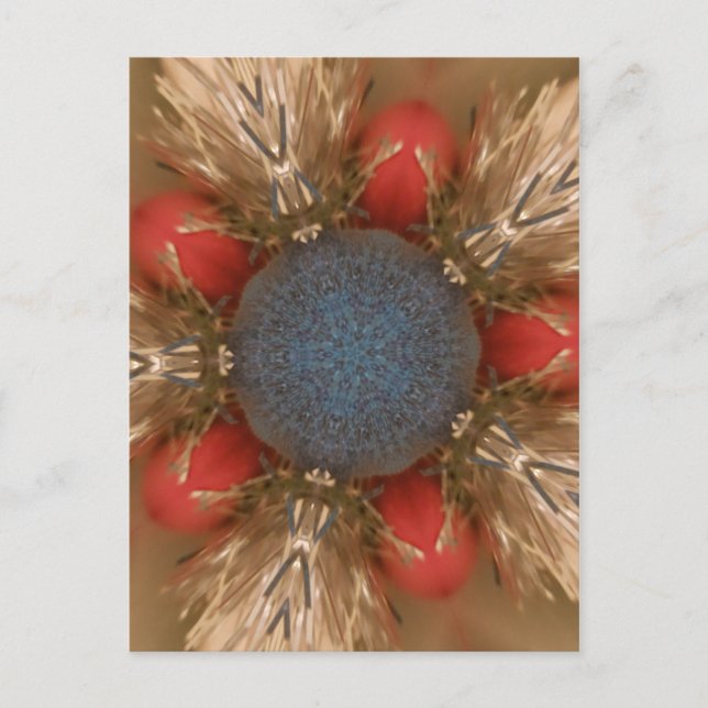 Blue Red Christmas Decoration Baubles Holiday Postcard (Front)