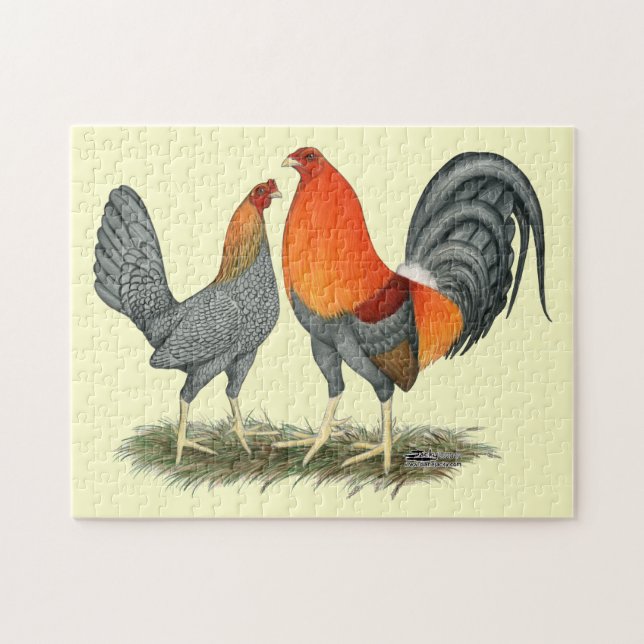 Blue Red Gamefowl Jigsaw Puzzle (Horizontal)