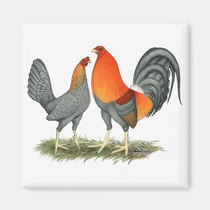 Blue Red Gamefowl Magnet