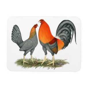 Blue Red Gamefowl Magnet