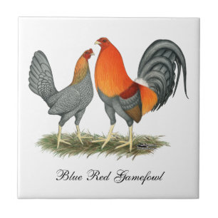 Blue Red Gamefowl Tile