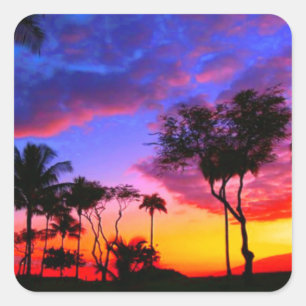 Blue Red Sunset Exotic Hawaiian Beach Palm Trees Square Sticker