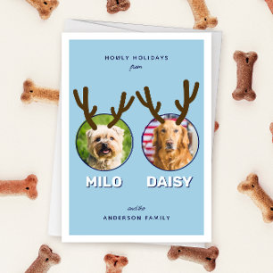 Blue Reinpet 2 Photo Pet Christmas Holiday Card