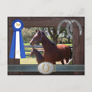 Blue Ribbon Mare and Foal Postcard