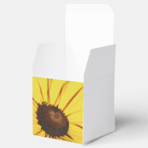 Blue Ridge Black-Eyed Susan Favour Box