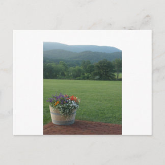 Blue Ridge Flowers Postcard