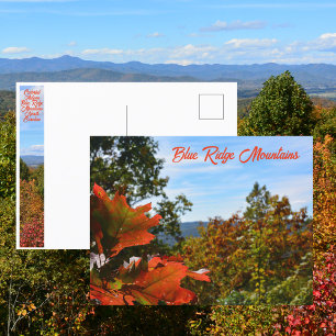 Blue Ridge Mountains NC Colourful Autumn Photo Postcard