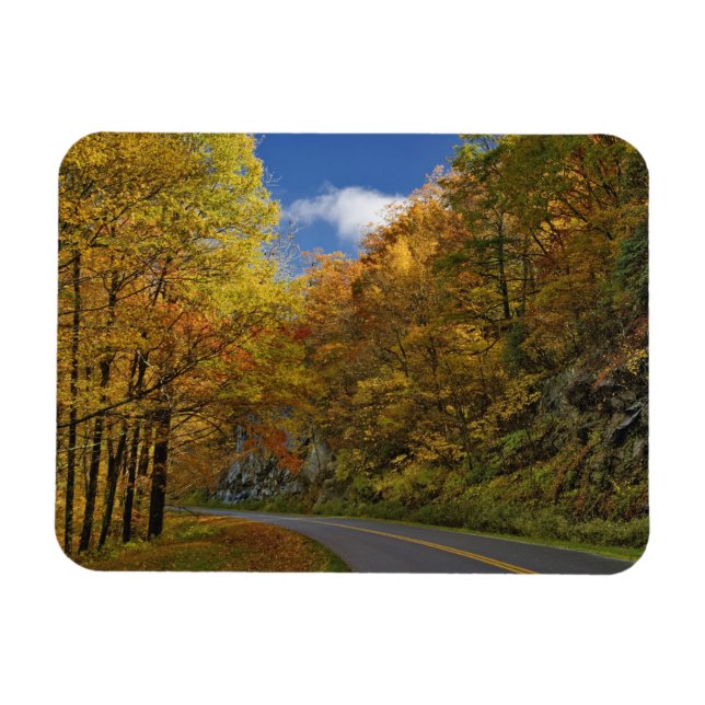 Blue Ridge Parkway curving through autumn colours Magnet (Horizontal)