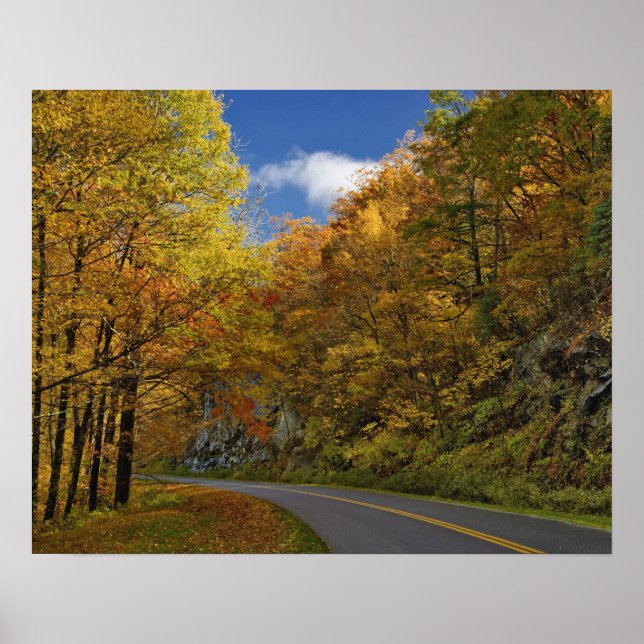 Blue Ridge Parkway curving through autumn colours Poster (Front)