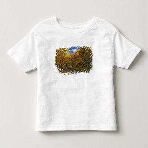 Blue Ridge Parkway curving through autumn colours Toddler T-Shirt
