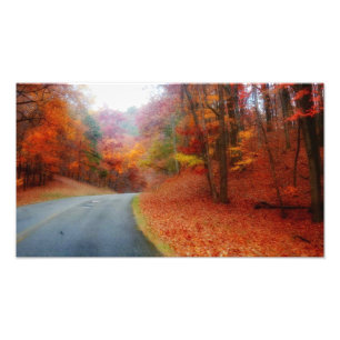 Blue Ridge Parkway Fall #2 Photo Print