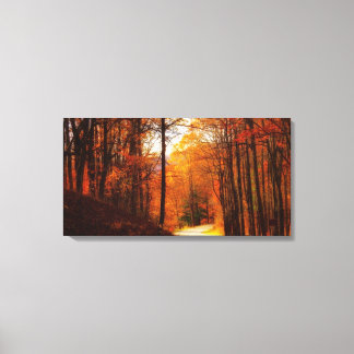 Blue Ridge Parkway Fall Canvas Print