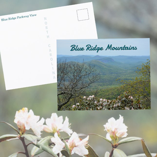 Blue Ridge Parkway Mountain Overlook View Postcard (Creator Uploaded)
