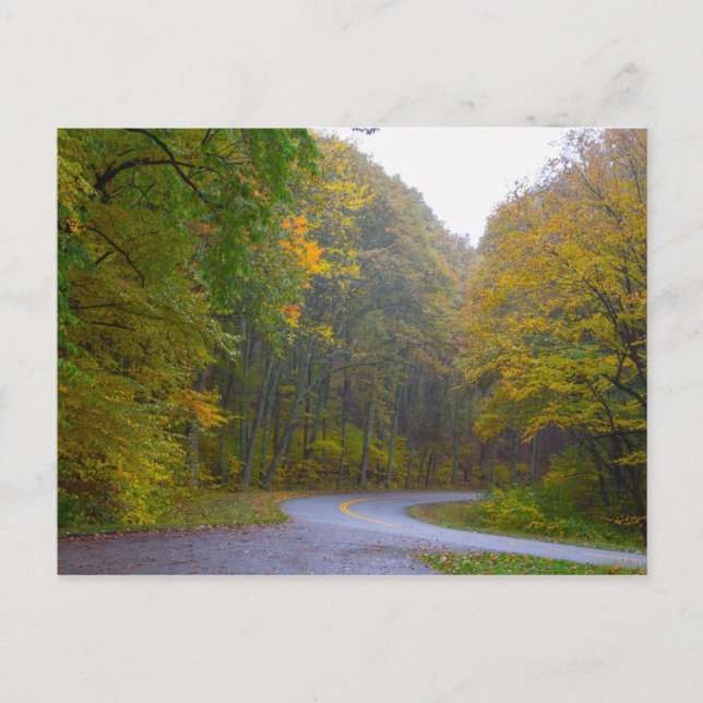 Blue Ridge Parkway, Virginia Postcard (Front)