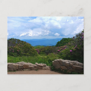 Blue Ridge Spring Postcard