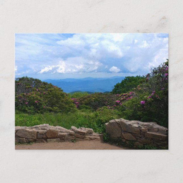 Blue Ridge Spring Postcard (Front)