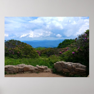 Blue Ridge Spring Print