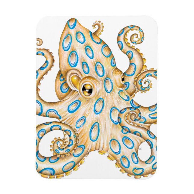 Blue ring Octopus on White Ink Magnet (Vertical)