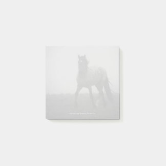 Blue Roan Mist - 3" x 3" Post-it Notes