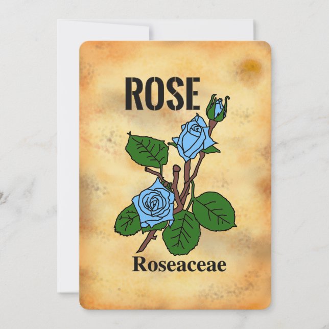Blue rose aged paper style line art Flat Card (Front)