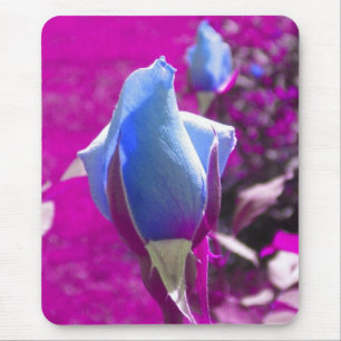 Blue Rose Bud Mouse Pad