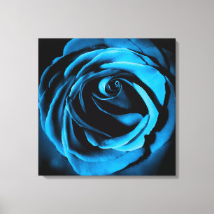Blue Rose Canvas Print