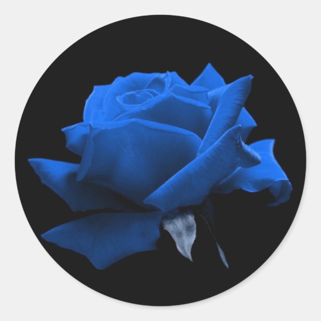 Blue Rose Classic Round Sticker (Front)