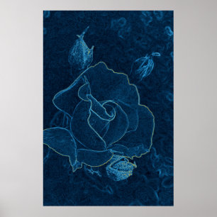 blue rose contour poster