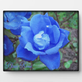 Blue Rose Digital Photo Plaque Custom Text