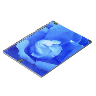 Blue Rose Digitally Enhanced Photo Notebooks
