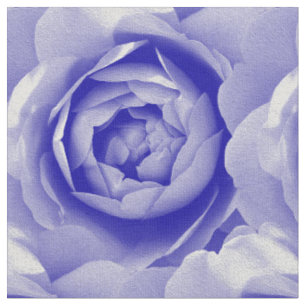 Blue rose fabric