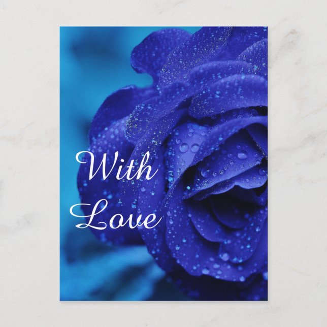 Blue rose flower postcard (Front)