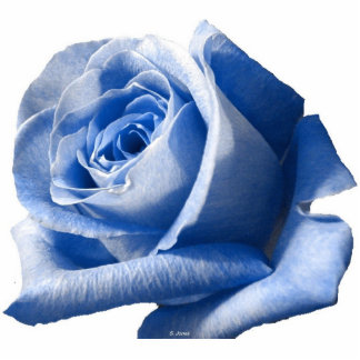 Blue Rose Photo Sculpture