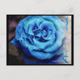 Blue Rose Postcard