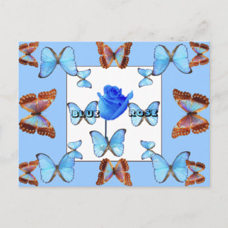 BLUE ROSE! Postcard