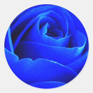 Blue Rose Sticker