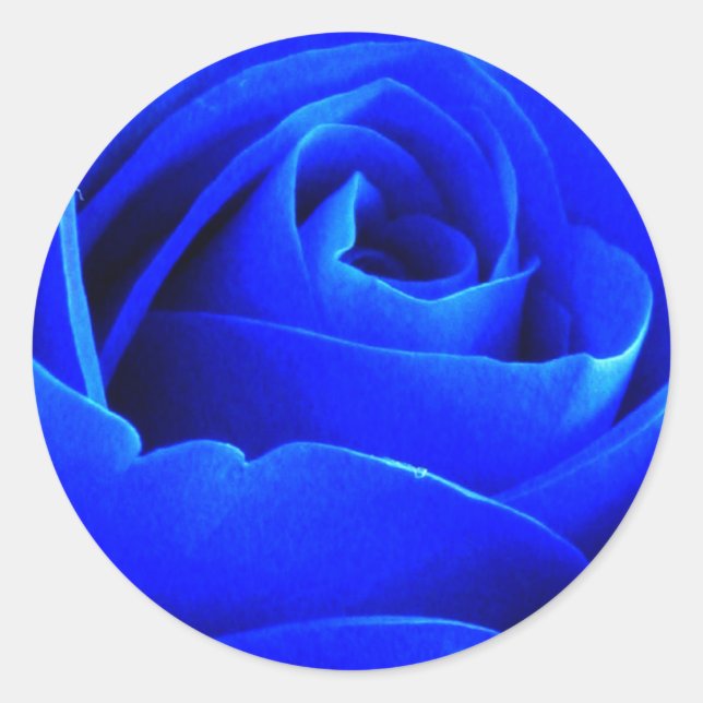 Blue Rose Sticker (Front)