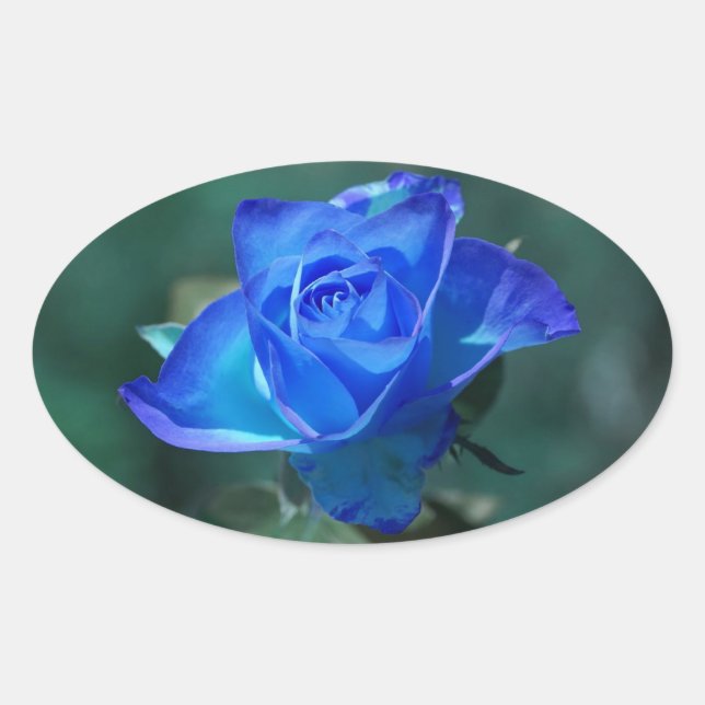 Blue Rose Sticker (Front)