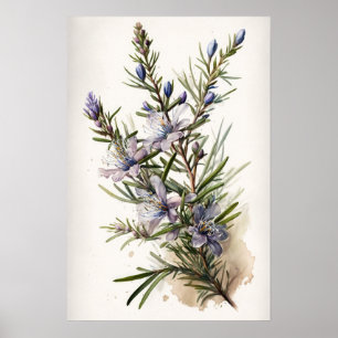 Blue Rosemary Flowers Art Print Poster