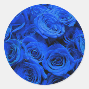 Blue Roses Classic Round Sticker