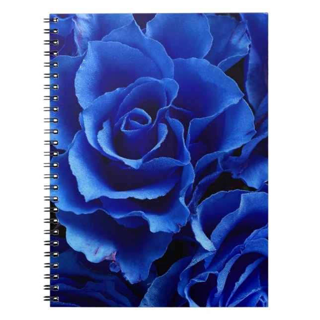 Blue roses flowers plant romance notebook (Front)