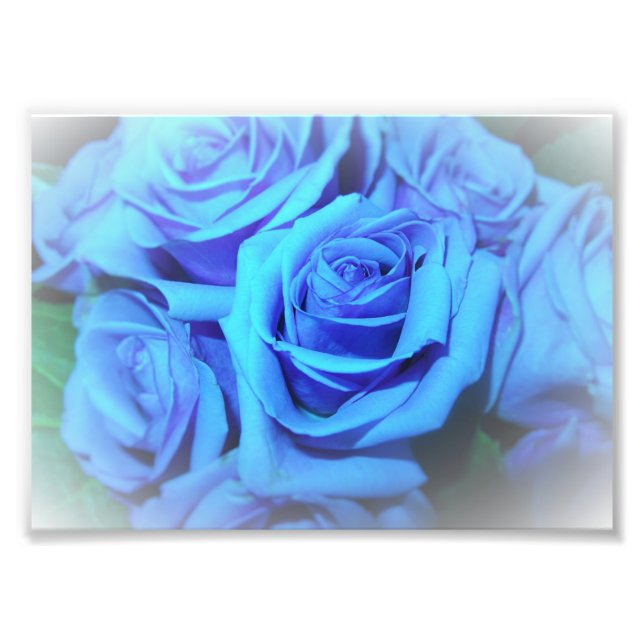 Blue Roses Photo Print (Front)