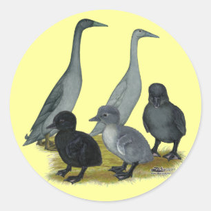 Blue Runner Duck Family Classic Round Sticker