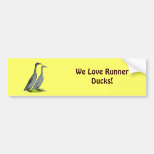 Blue Runner Ducks Bumper Sticker