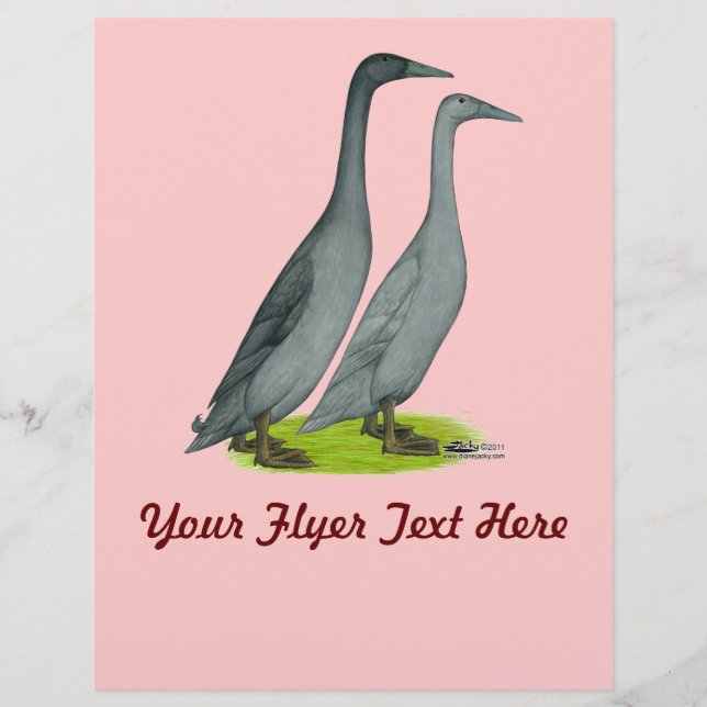 Blue Runner Ducks Flyer (Front)