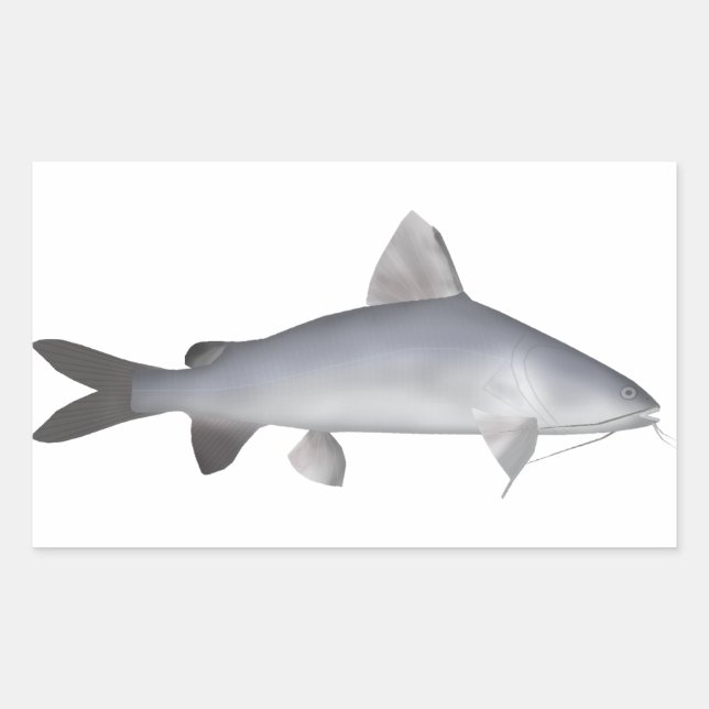 Blue Salmon Catfish Rectangular Sticker (Front)