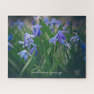 Blue scilla flowers in the spring garden jigsaw puzzle